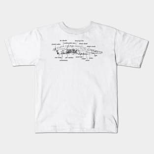 lancelet fish Kids T-Shirt